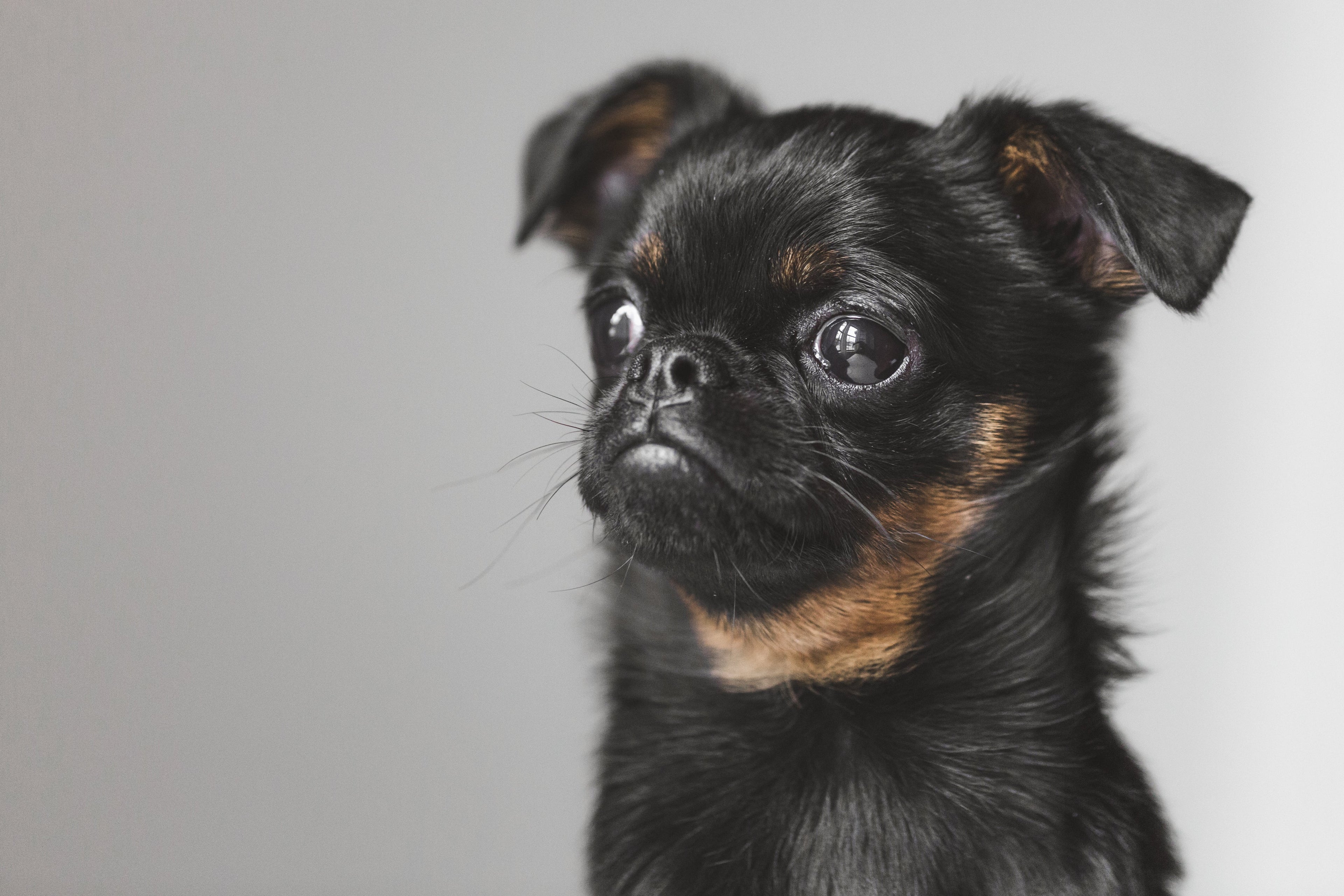 slider image 1621243260e1af0c20-2