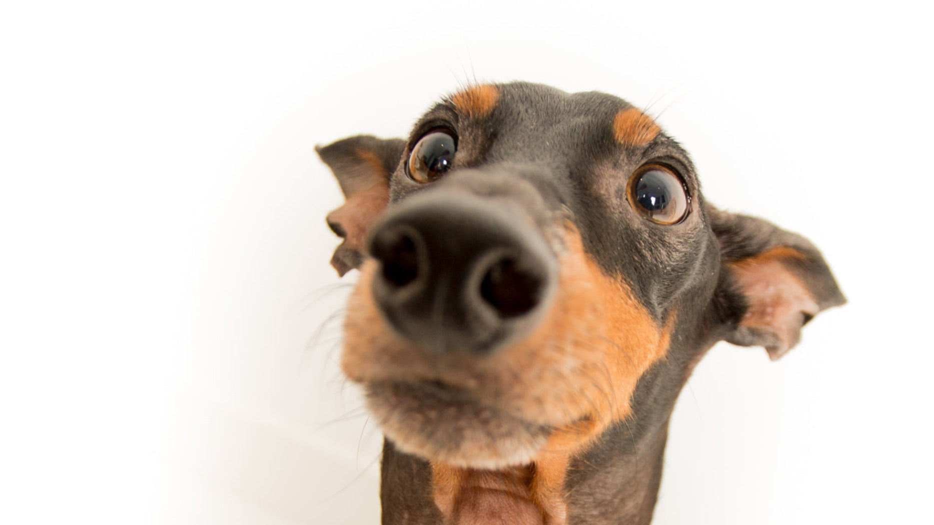 11621243260e1af0c20-0